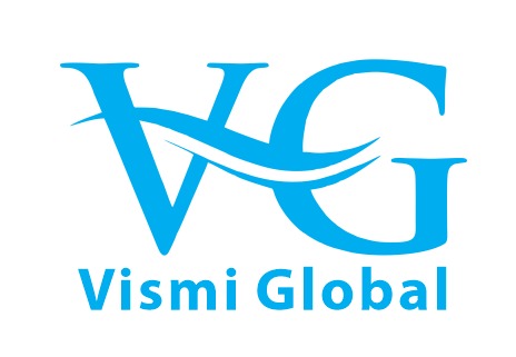 Vismi Global logo